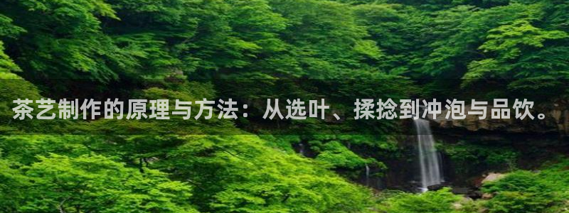 龙八国际城网站