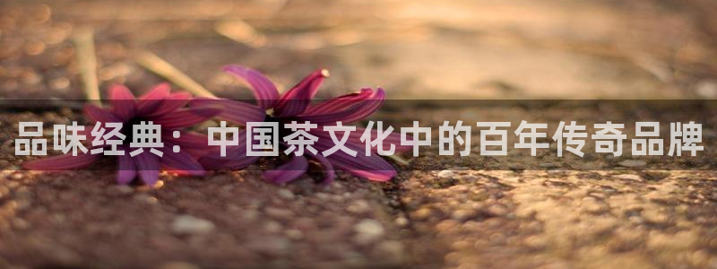 龙八国际娱乐客服