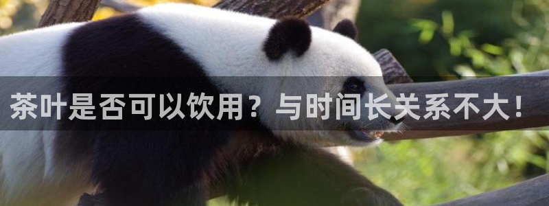 龙八国际客户端下载平台