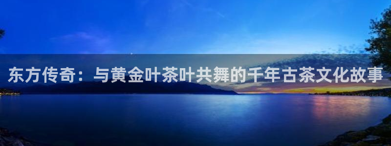 龙八国际彩金购买