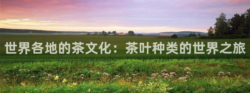 龙八国际l8520