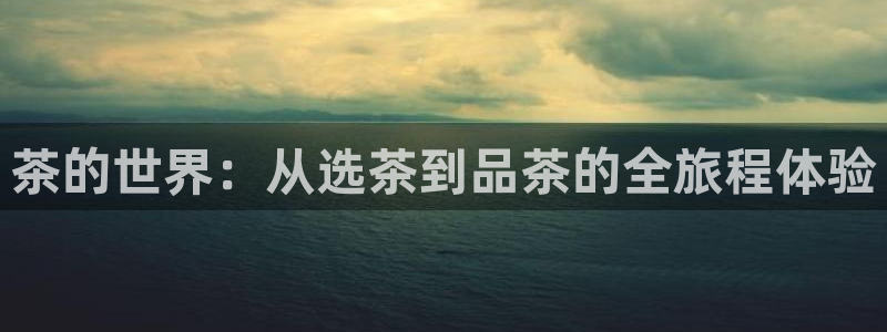 龙八国际手机客户端下载app