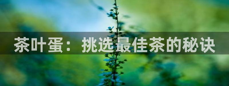 龙八国际改名