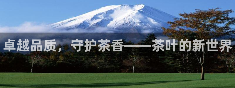 项目名称龙八国际