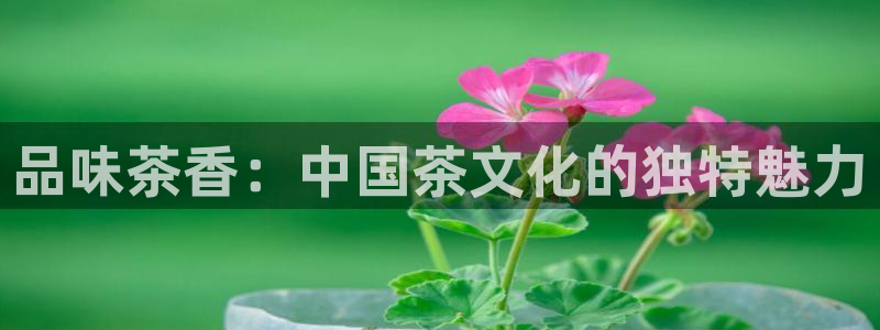 龙八国际app下载安装