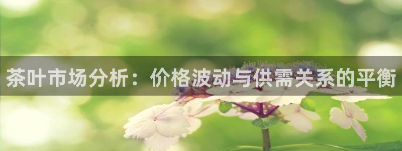 龙八国际app骗局