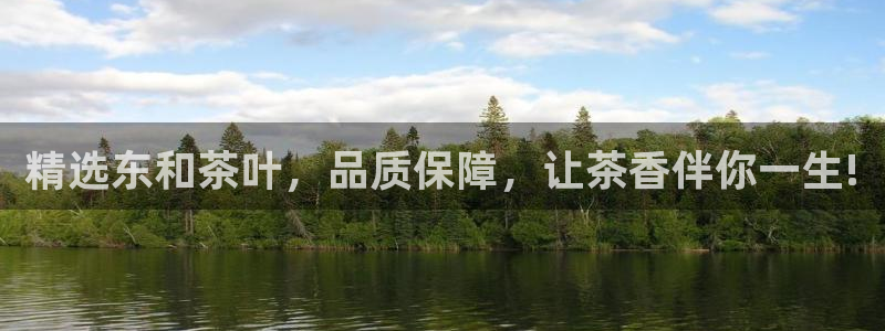 龙八国际网址