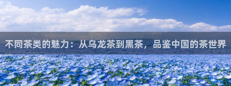 龙八国际入口