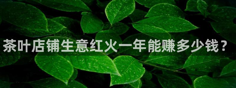 龙八国际平台网站