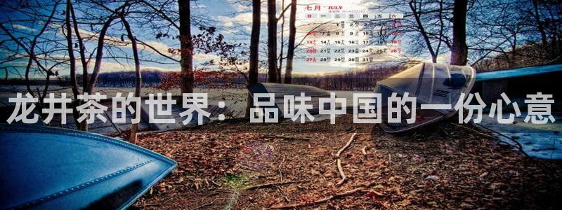 龙八国际下载全部收藏pity
