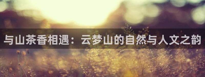 龙八国际游乐城