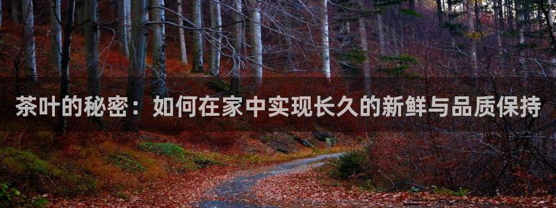 龙八国际mG