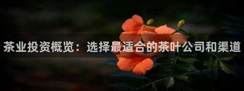 龙八国际pt游戏下载