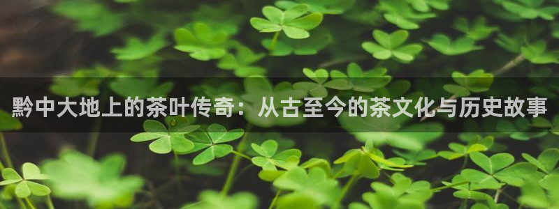 龙八国际彩金购买