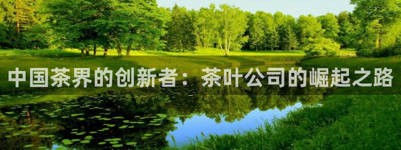 下载龙八国际手机版安装