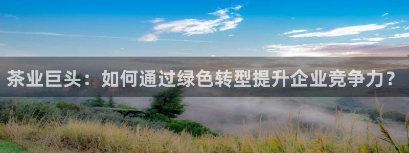 龙八国际娱乐二维码