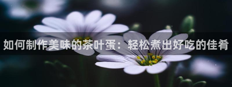 龙八国际服官方