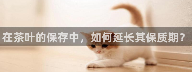 龙八国际客户端下载安卓