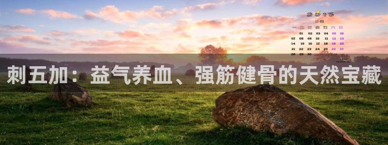 龙八国际手机版下载安装app