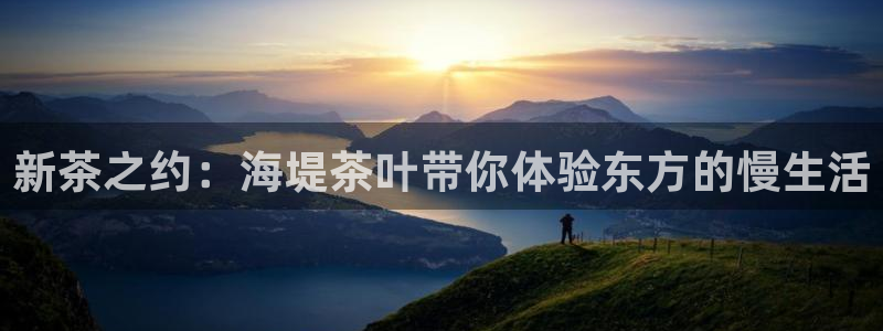 龙八国际集团有限公司