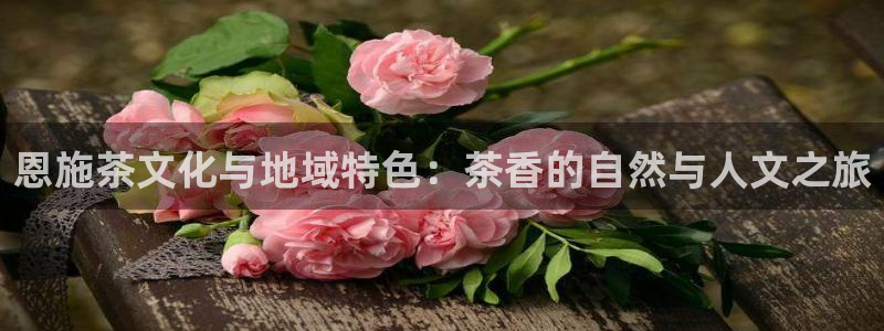 龙八国际平台网站