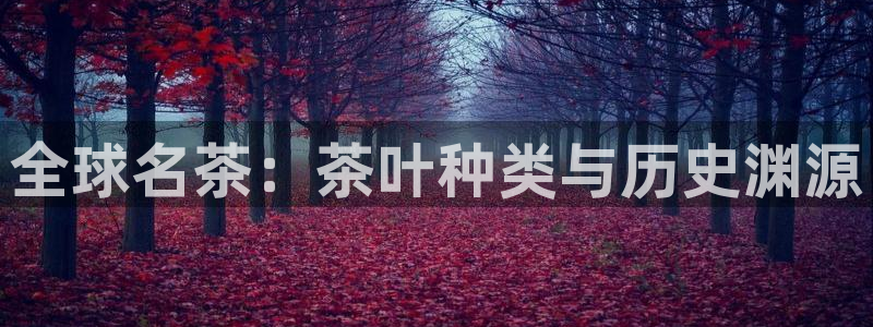龙八国际App下载地址