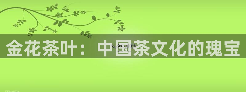 不会玩龙八国际
