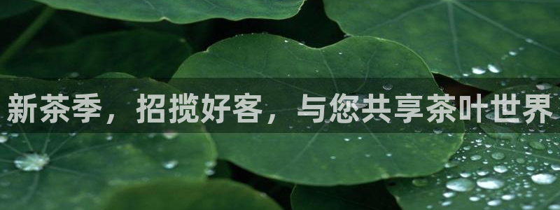 龙八国际官网app下载