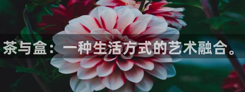 龙八国际官网首页网页版