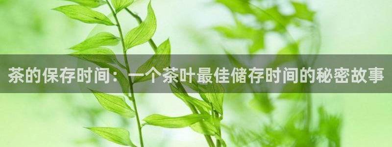 手机版龙八国际服客服