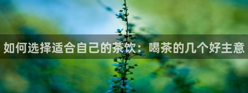 龙八国际娱乐pt老虎机