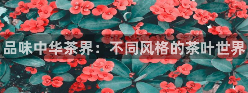 龙八国际手机版入口