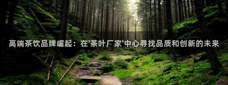 龙八国际头号玩家