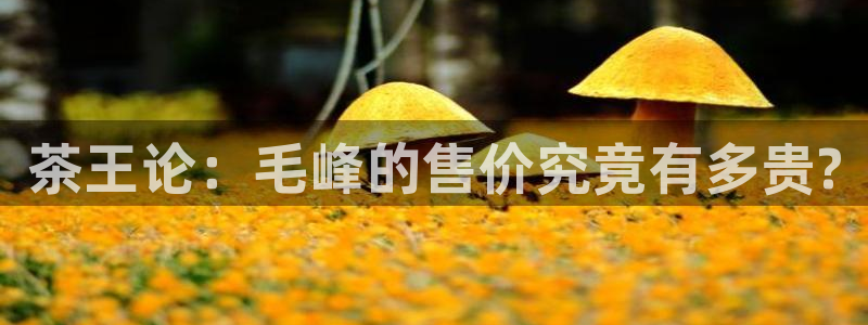 龙八国际平台安卓