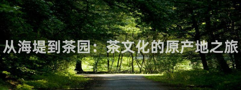 龙八国际网页版