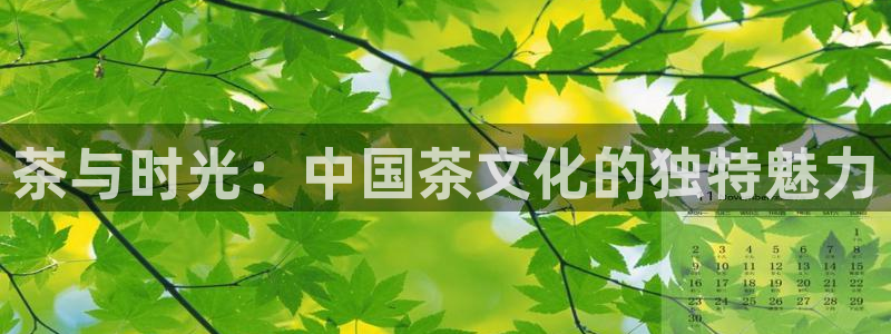 龙八国际菲律宾官网