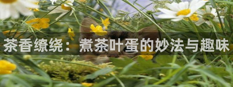 龙八国际服官网进入