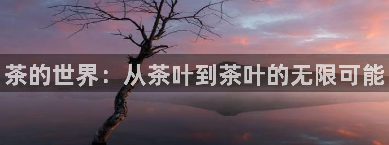 冯文戈 龙八国际集团