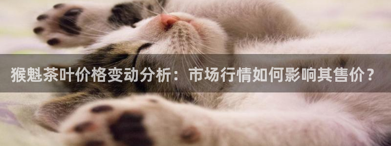 龙八国际 long5658.com