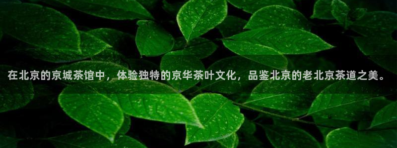 天津龙八国际
