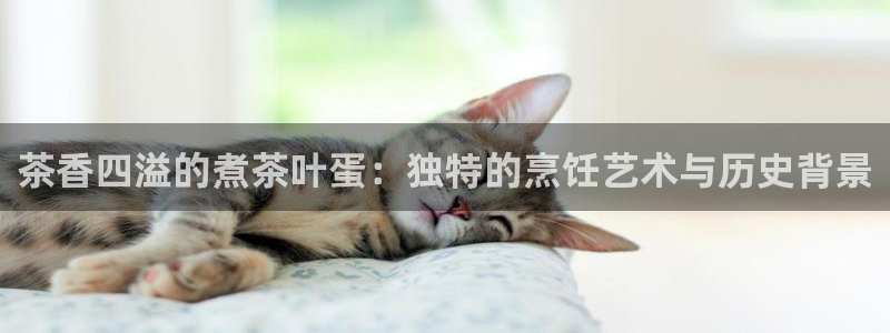大英龙八国际