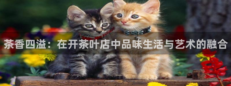 龙八国际下载链接