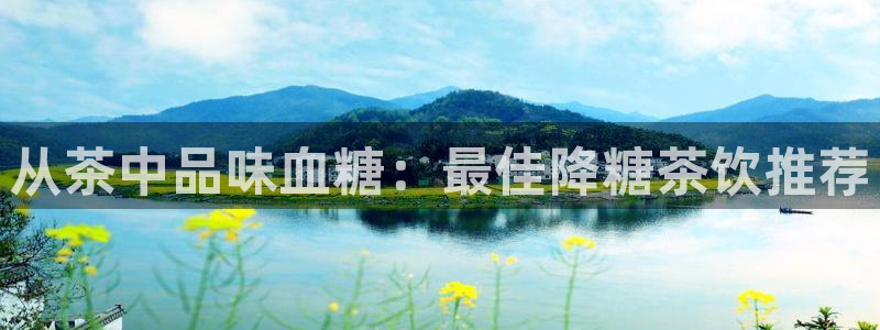 龙八国际官网产品介绍