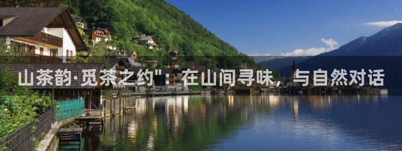 龙八国际平台手机版