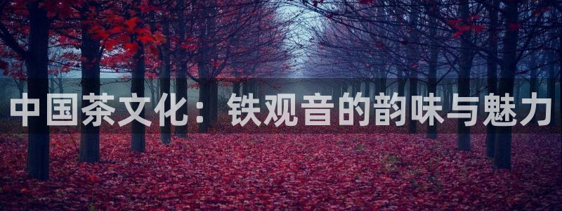 龙八国际娱手机