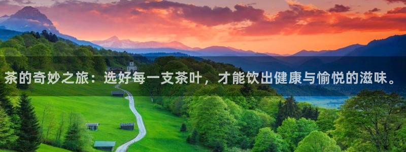 龙八国际mg老虎机