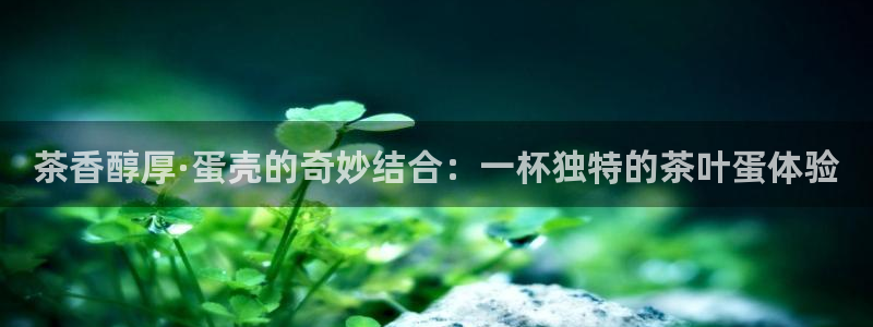 l龙八国际