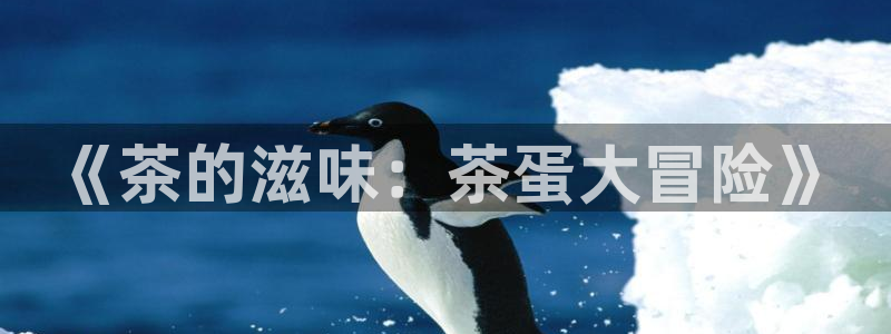 龙八国际pt