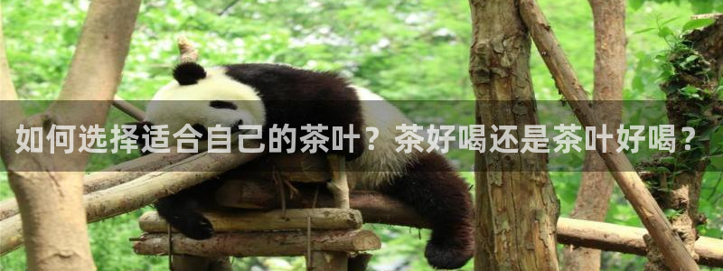 龙八国际app下载