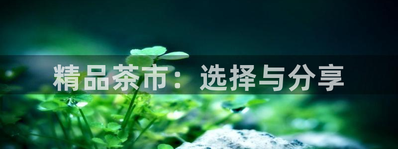 龙八国际下载欢迎您